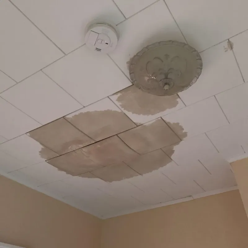 Ceiling Water Damage Repair in Moundridge, KS