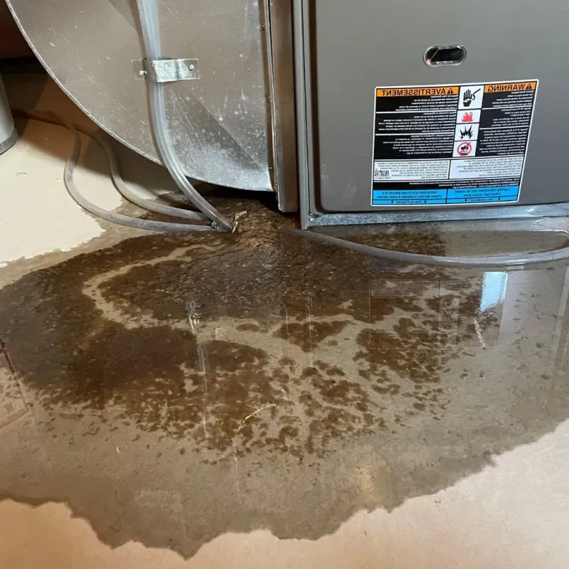 Pipe Burst and Leak Restoration in Moundridge, KS