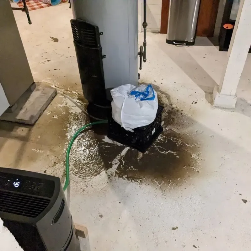 Sewage Backup Cleanup Service in Moundridge, KS